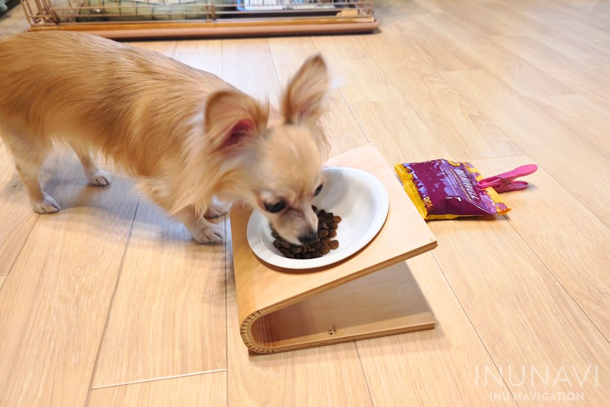 ジョセラ　ドッグフード ミニウェルを食べる愛犬